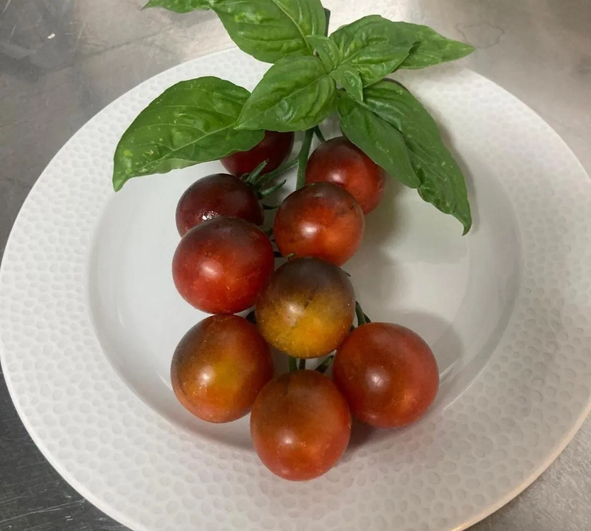 Hotel Garisenda -B&B&Brunch in centro a Riccione-