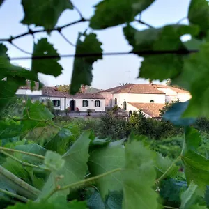 Etna Casa vacanze Piedimonte Etneo